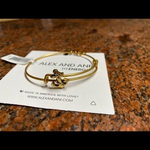 Alex and ani anchor slider bracelet